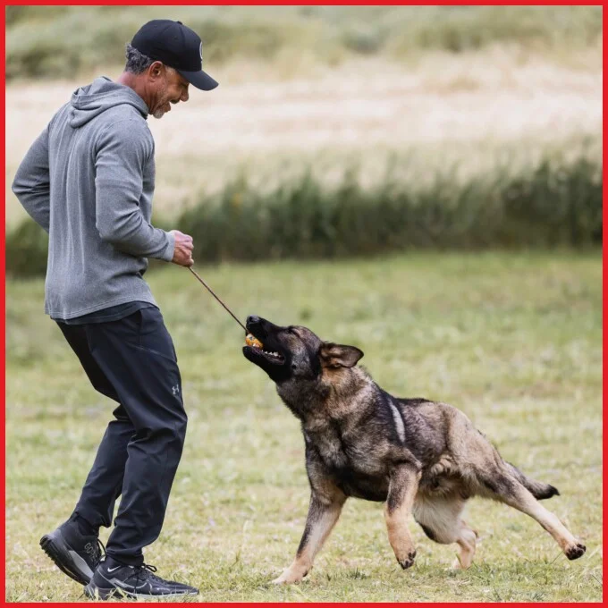 Brent Cooper training German Shepherd