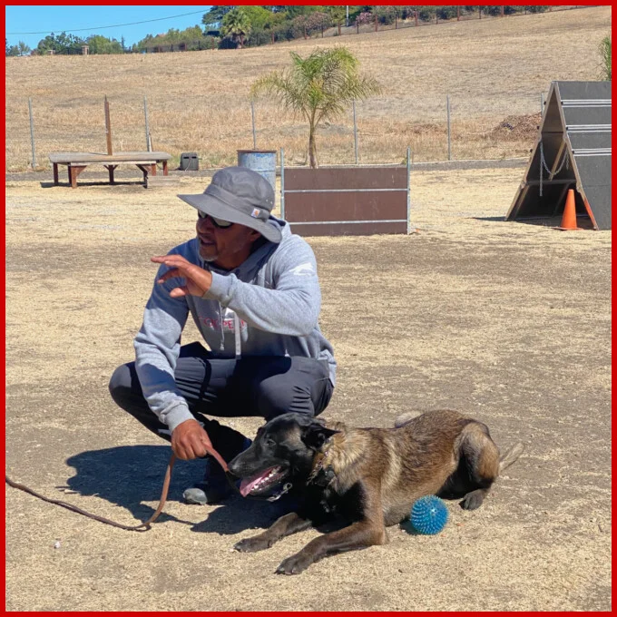 Brent Cooper teaching obedience Brent Cooper teaching obedience