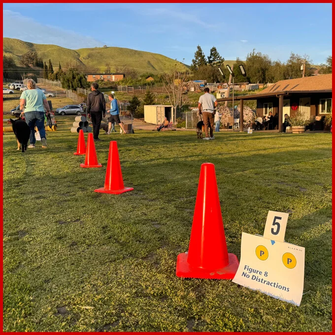 Cooperhaus AKC Rally Training Cooperhaus AKC Rally Training
