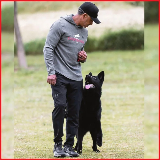 Brent Cooper training dogs Brent Cooper training dogs